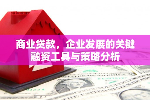 冬山商业贷款，企业发展的关键融资工具与策略分析