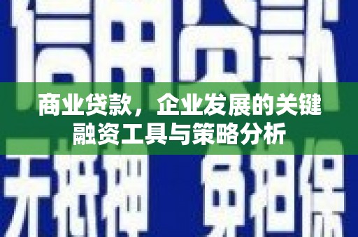 冬山商业贷款，企业发展的关键融资工具与策略分析