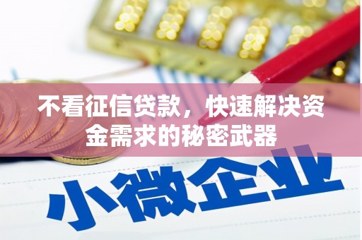 冬山不看征信贷款，快速解决资金需求的秘密武器