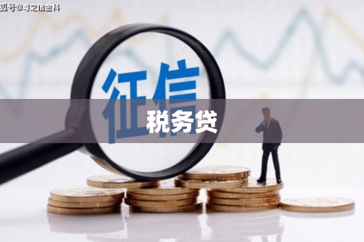 冬山税务贷
