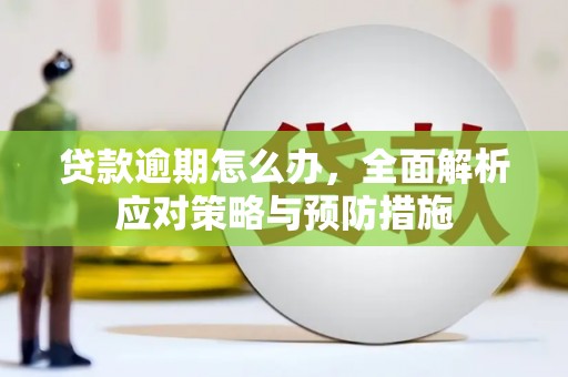 冬山贷款逾期怎么办，全面解析应对策略与预防措施