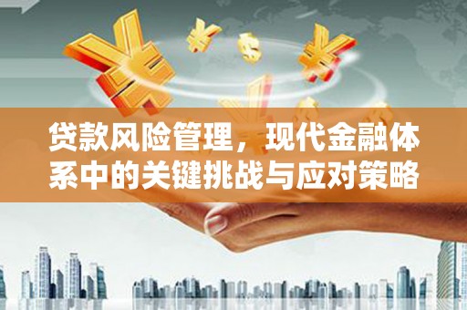 冬山贷款风险管理，现代金融体系中的关键挑战与应对策略