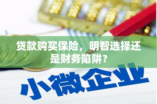 冬山贷款购买保险，明智选择还是财务陷阱？