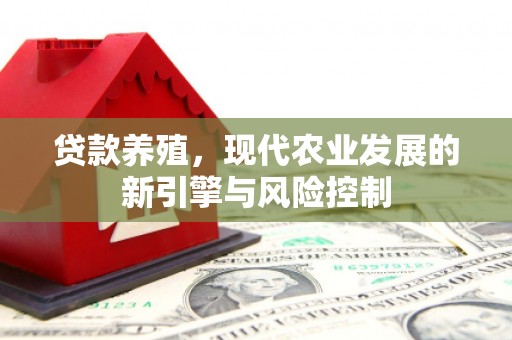 冬山贷款养殖，现代农业发展的新引擎与风险控制