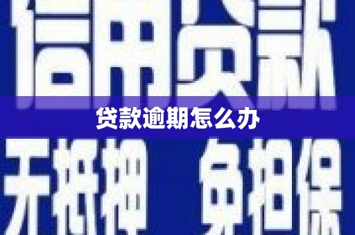 冬山贷款逾期怎么办