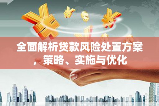冬山全面解析贷款风险处置方案，策略、实施与优化