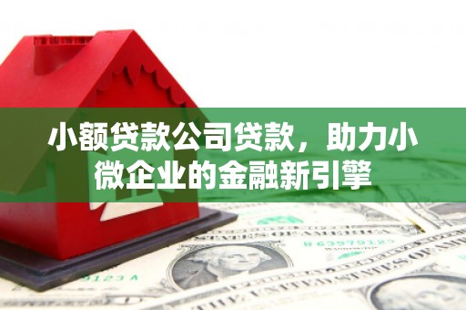 冬山小额贷款公司贷款，助力小微企业的金融新引擎