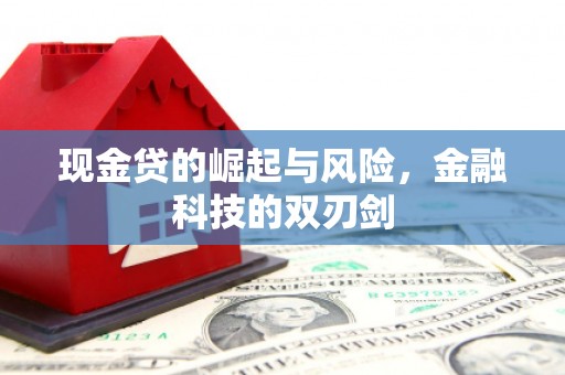 冬山现金贷的崛起与风险，金融科技的双刃剑