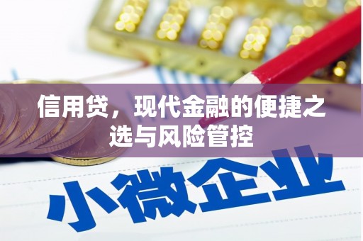 冬山信用贷，现代金融的便捷之选与风险管控