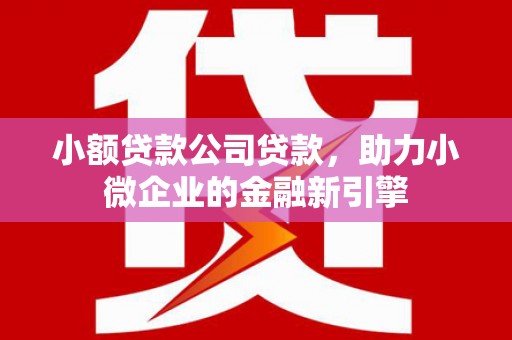 冬山小额贷款公司贷款，助力小微企业的金融新引擎