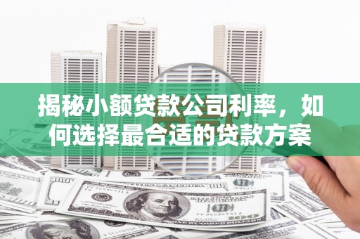 冬山揭秘小额贷款公司利率，如何选择最合适的贷款方案