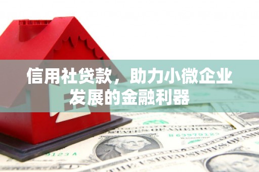 冬山信用社贷款，助力小微企业发展的金融利器
