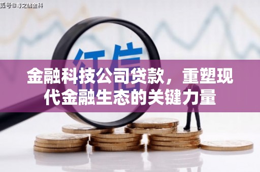 冬山金融科技公司贷款，重塑现代金融生态的关键力量