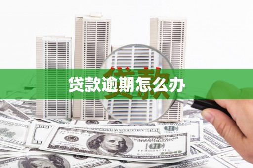 冬山贷款逾期怎么办