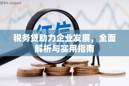 冬山税务贷助力企业发展，全面解析与实用指南