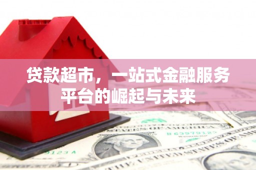 冬山贷款超市，一站式金融服务平台的崛起与未来