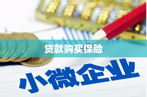 冬山贷款购买保险
