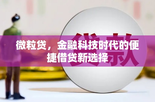 冬山微粒贷，金融科技时代的便捷借贷新选择