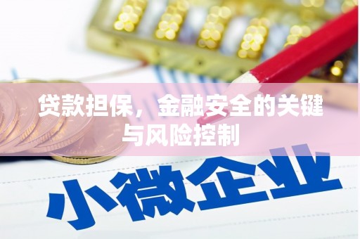 冬山贷款担保，金融安全的关键与风险控制