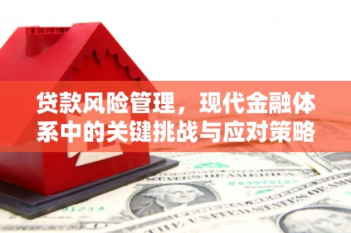 冬山贷款风险管理，现代金融体系中的关键挑战与应对策略