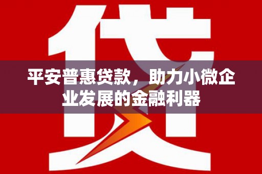冬山平安普惠贷款，助力小微企业发展的金融利器