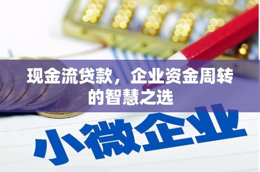 冬山现金流贷款，企业资金周转的智慧之选