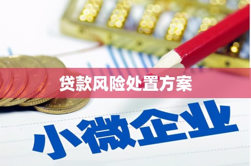 冬山贷款风险处置方案