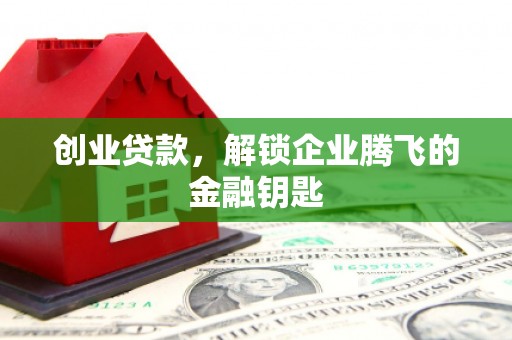 冬山创业贷款，解锁企业腾飞的金融钥匙