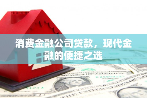 冬山消费金融公司贷款，现代金融的便捷之选