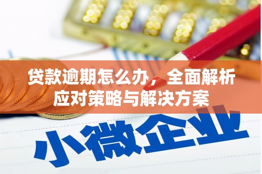 冬山贷款逾期怎么办，全面解析应对策略与解决方案