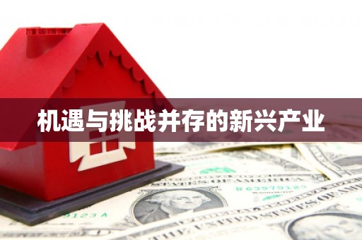 冬山机遇与挑战并存的新兴产业