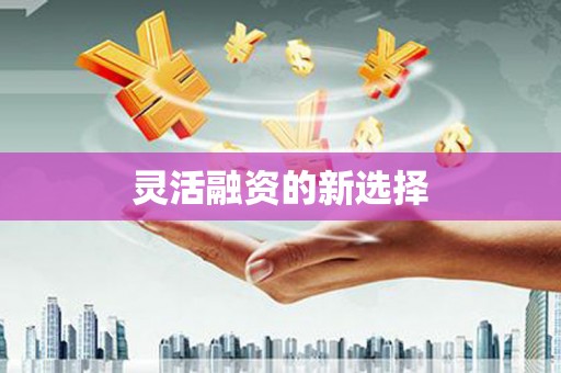 冬山灵活融资的新选择