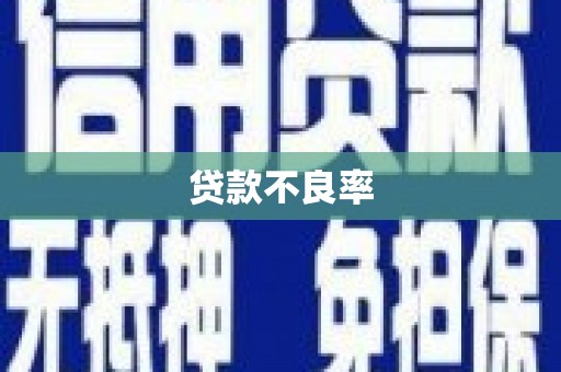冬山贷款不良率