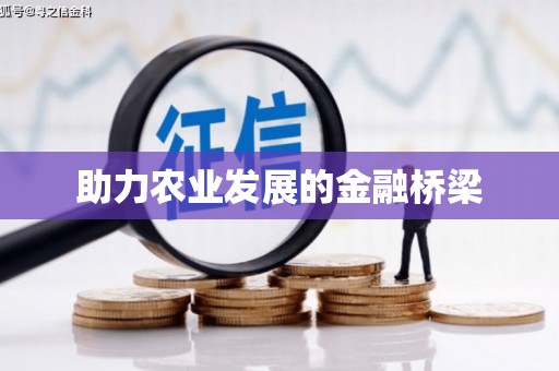 冬山助力农业发展的金融桥梁