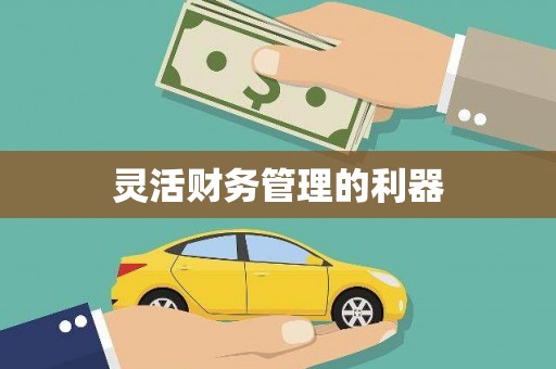 冬山灵活财务管理的利器