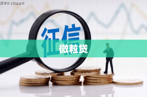 冬山微粒贷