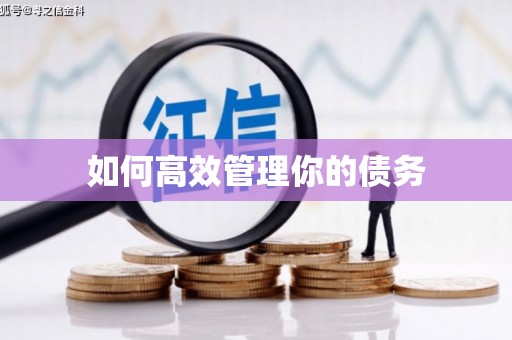 冬山如何高效管理你的债务