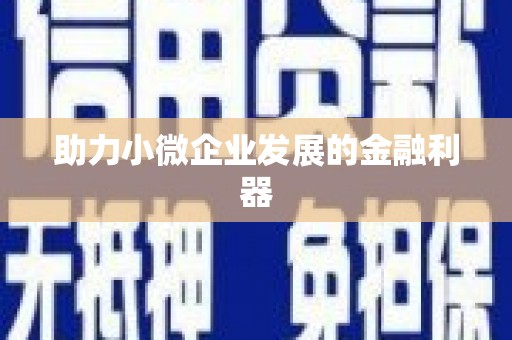 冬山助力小微企业发展的金融利器