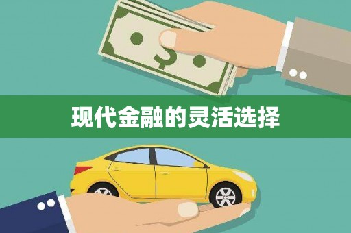 冬山现代金融的灵活选择