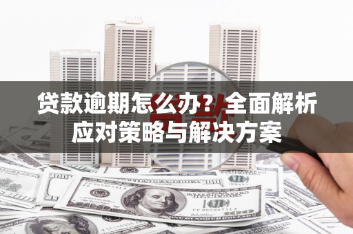 冬山贷款逾期怎么办？全面解析应对策略与解决方案