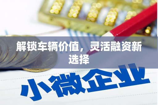 冬山解锁车辆价值，灵活融资新选择