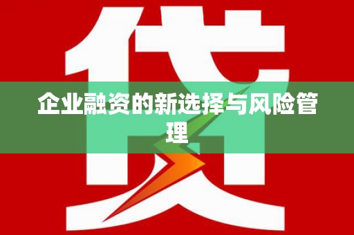 冬山企业融资的新选择与风险管理