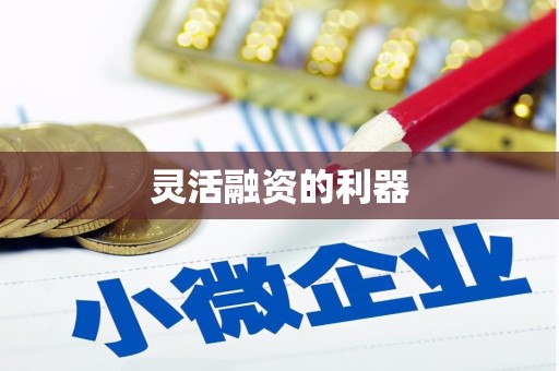 冬山灵活融资的利器