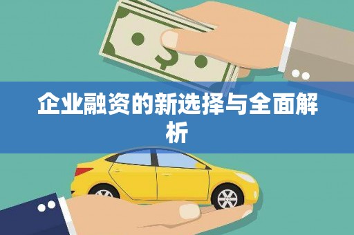 冬山企业融资的新选择与全面解析