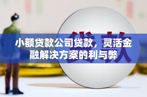 冬山小额贷款公司贷款，灵活金融解决方案的利与弊