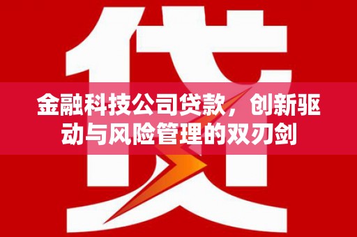 冬山金融科技公司贷款，创新驱动与风险管理的双刃剑