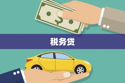 冬山税务贷